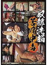 AXDVD-0097R DVD封面图片 