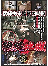 AXDVD-0205R DVD Cover