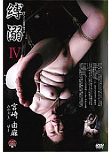 ADVO-090 DVD Cover