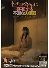 AGAV-124 DVD Cover