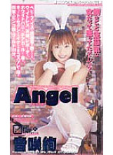 AN-088 Sampul DVD