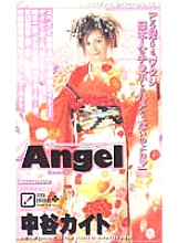 AN-099 DVD Cover