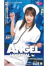 AN-154 DVD Cover