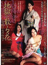 AZSD-010 DVD Cover