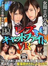 BBVR-011 DVD封面图片 