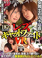 BBVR-013 DVDカバー画像