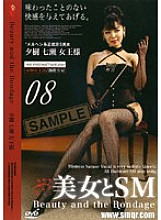 BS-08D DVD Cover