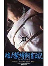 CJZ-003 DVD Cover