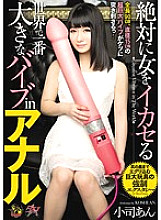 DASD-259 DVD Cover