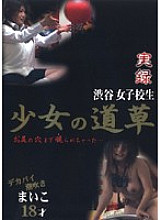 DJK-009 DVD封面图片 
