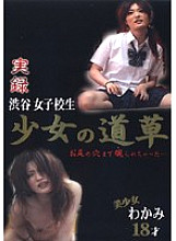 DJK-010 DVD Cover