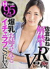 DSVR-011 DVD Cover