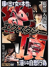 DTRS-040 DVD Cover