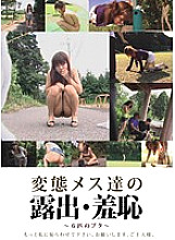 EVIS-006 Sampul DVD
