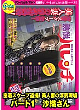 GML-236 Sampul DVD