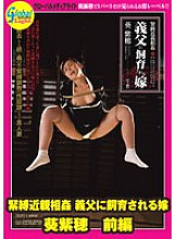 GML-376 DVD Cover