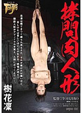 GTJ-028 Sampul DVD