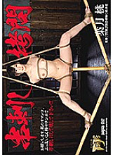 GTJ-071 DVD Cover