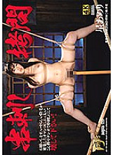 GTJ-095 DVD Cover