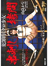 GTJ-128 DVD Cover
