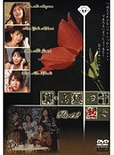 JKGS-02 DVD Cover