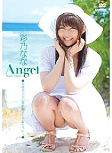 R-655 DVD Cover