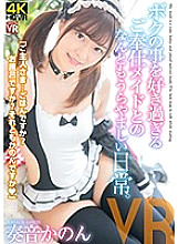 CRVR-163 DVD Cover