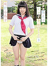 SHIBP-045 DVD封面图片 