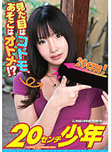 YSN-212 DVD Cover