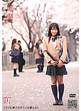 YSN-083 Sampul DVD