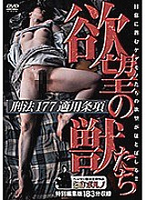 FTDS-007 DVD Cover