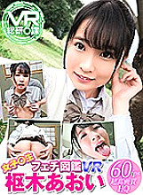 WVR6-D019 DVD Cover