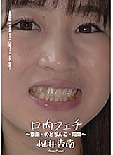 AD-291 DVD封面图片 