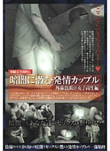 CAT-027 DVD封面图片 