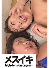 ZZZM-01460 DVD Cover