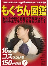zukan-08 DVDカバー画像