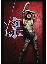 VGD-211 DVD Cover