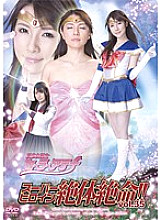 THZ-35 Sampul DVD