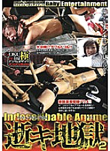 DPIK-002 DVD Cover