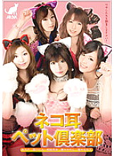 AAK-043 DVD Cover