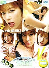 IMG-130 DVD封面图片 