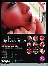 IMG-291 DVD Cover