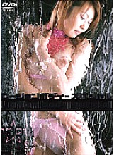 VNDS-385 DVD Cover
