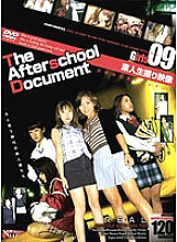 VNDS-2193 DVD Cover