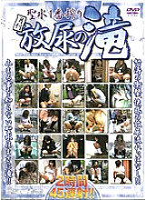 VNDS-2208 DVD Cover