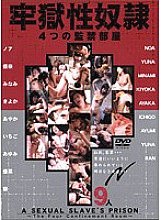 VNDS-2264 Sampul DVD