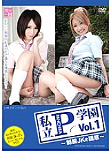 IABH-001 DVD封面图片 
