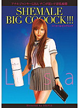 MSIL-001 DVD Cover