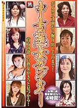 GYJ-85 DVD Cover