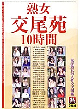 GYJ-95 DVD Cover